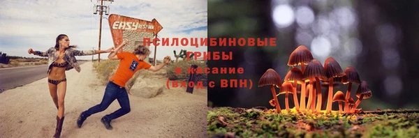 стаф Абинск