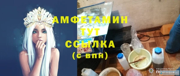 прущие грибы Абаза