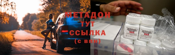 прущие грибы Абаза