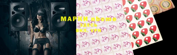 стаф Абинск