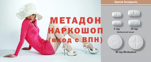 прущие грибы Абаза