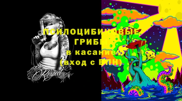 прущие грибы Абаза