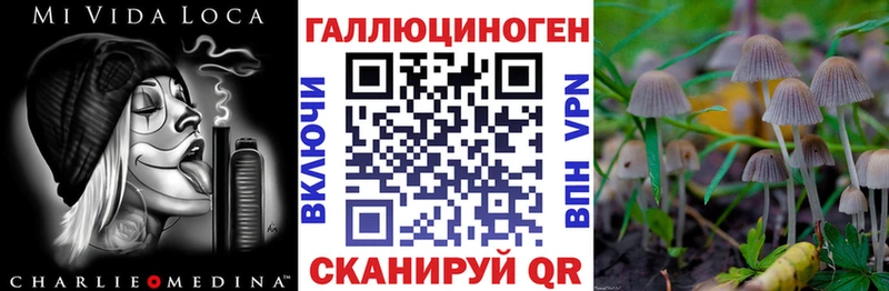 где купить наркотик Рязань Псилоцибиновые грибы мицелий